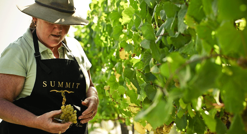 Summit Estate Winemakers